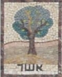 Asher_Mosaic
